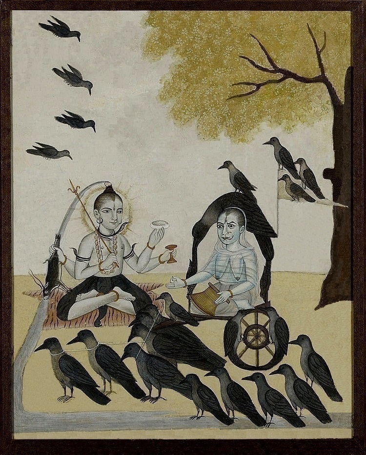 Garga’s Knowledge of the Crow (vāyasavidyā) and the Dawn of South Asian Ornithology