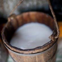 A wooden pail used for milking by the nomads of northern Mongolia.